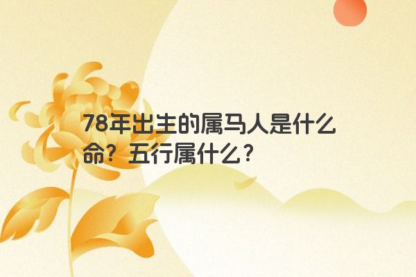 78年出生的属马人是什么命？五行属什么？