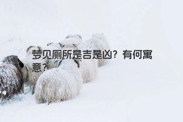 梦见厕所是吉是凶？有何寓意？