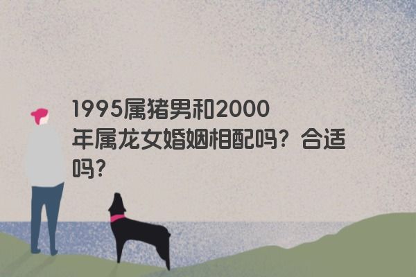 1995属猪男和2000年属龙女婚姻相配吗？合适吗？