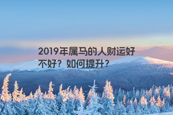2019年属马的人财运好不好？如何提升？