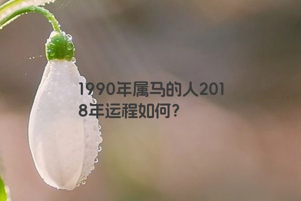 1990年属马的人2018年运程如何？