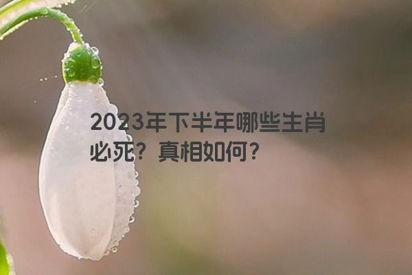 2023年下半年哪些生肖必死？真相如何？