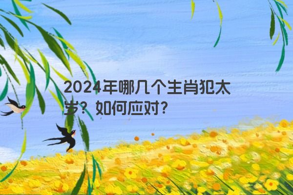 2024年哪几个生肖犯太岁？如何应对？