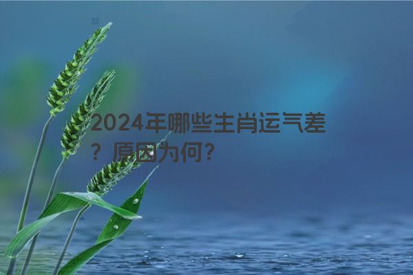 2024年哪些生肖运气差？原因为何？