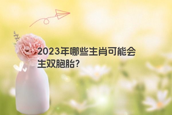 2023年哪些生肖可能会生双胞胎？