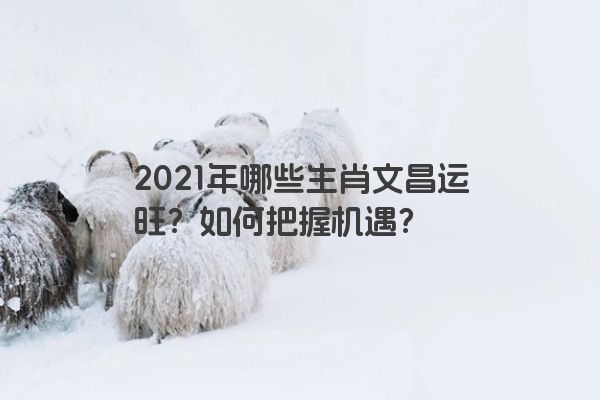 2021年哪些生肖文昌运旺？如何把握机遇？