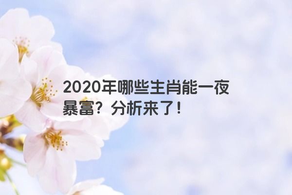 2020年哪些生肖能一夜暴富？分析来了！
