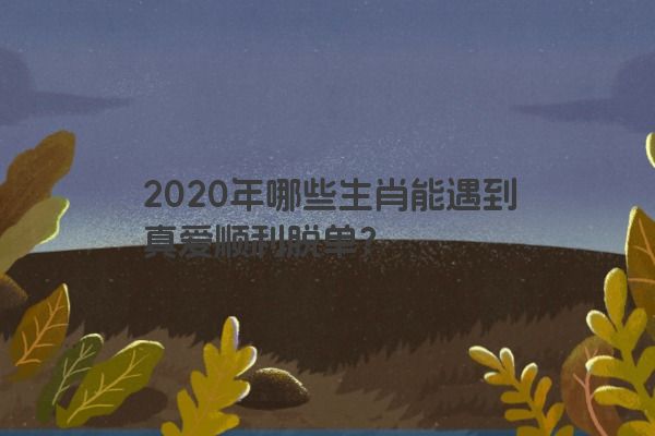2020年哪些生肖能遇到真爱顺利脱单？