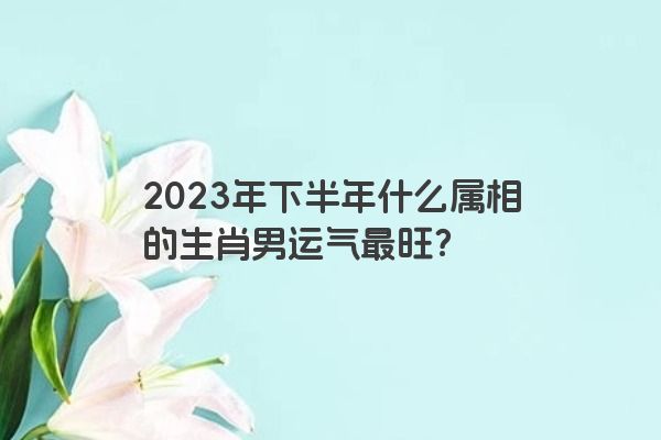 2023年下半年什么属相的生肖男运气最旺？