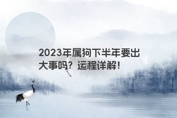 2023年属狗下半年要出大事吗？运程详解！