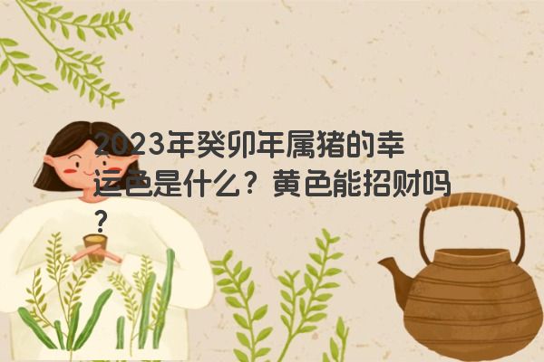 2023年癸卯年属猪的幸运色是什么？黄色能招财吗？