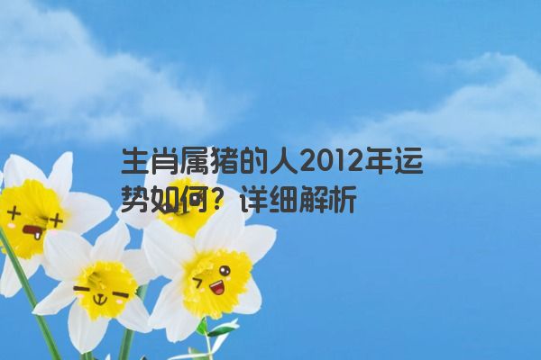 生肖属猪的人2012年运势如何？详细解析