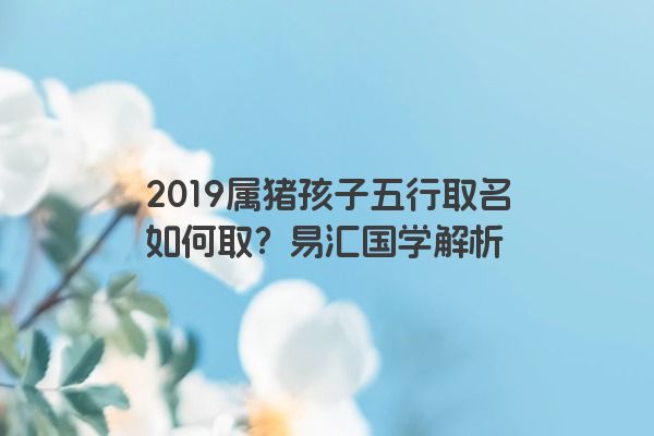 2019属猪孩子五行取名如何取？易汇国学解析