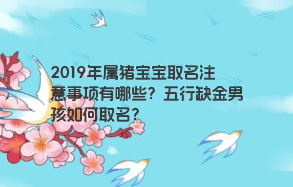 2019年属猪宝宝取名注意事项有哪些？五行缺金男孩如何取名？