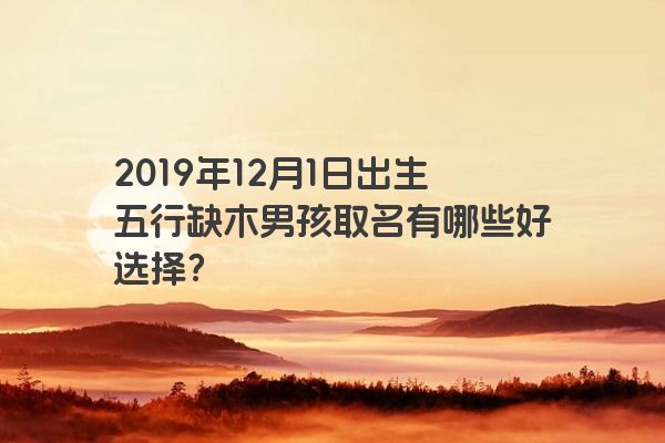 2019年12月1日出生五行缺木男孩取名有哪些好选择? 2019年12月1日出生五行缺木男孩取名有哪些好选择?