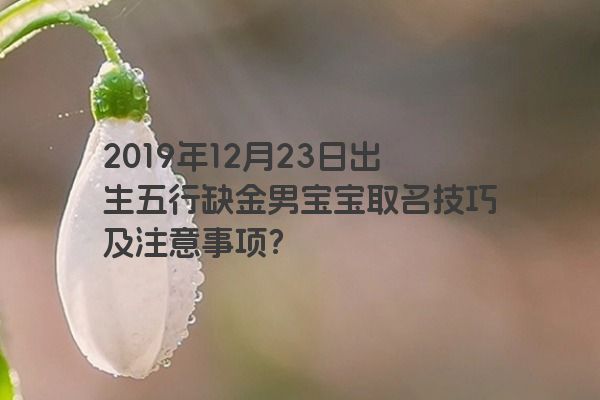 2019年12月23日出生五行缺金男宝宝取名技巧及注意事项? 2019年12月23日出生五行缺金男宝宝取名技巧及注意事项?