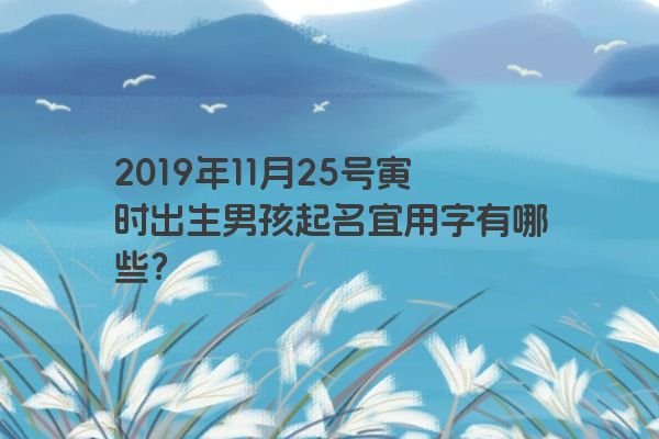2019年11月25号寅时出生男孩起名宜用字有哪些？