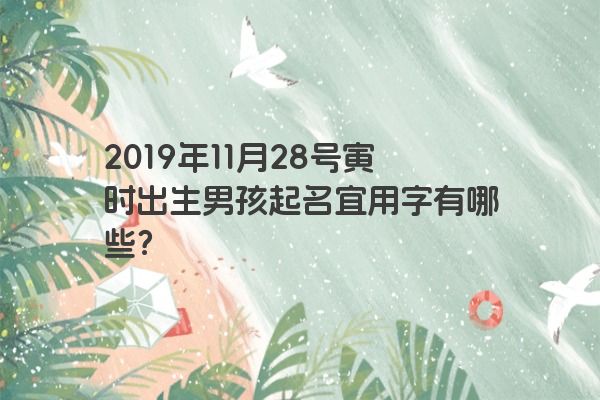 2019年11月28号寅时出生男孩起名宜用字有哪些？
