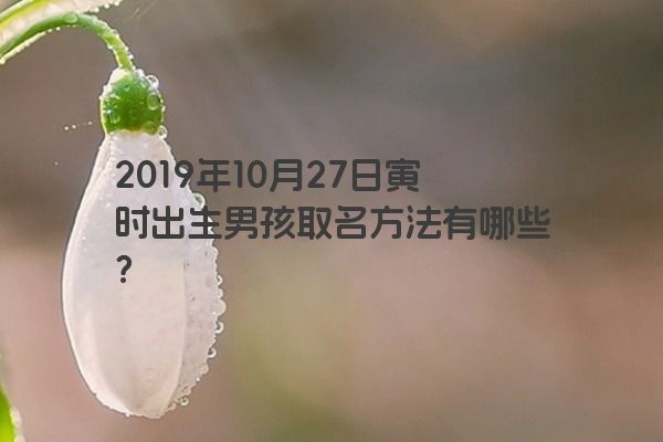 2019年10月27日寅时出生男孩取名方法有哪些？