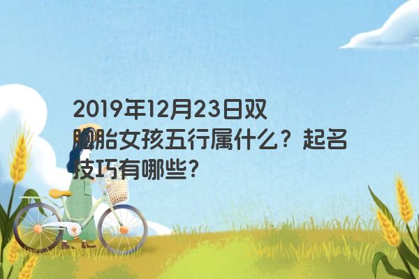 2019年12月23日双胞胎女孩五行属什么?起名技巧有哪些? 2019年12月23日双胞胎女孩五行属什么?起名技巧有哪些?
