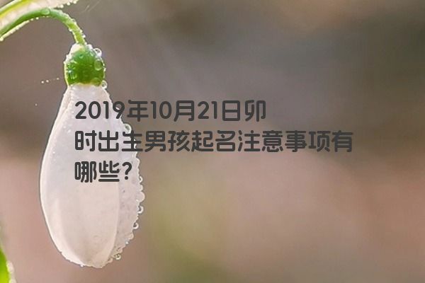2019年10月21日卯时出生男孩起名注意事项有哪些？
