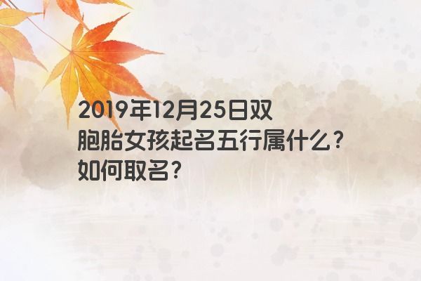 2019年12月25日双胞胎女孩起名五行属什么?如何取名? 2019年12月25日双胞胎女孩起名五行属什么?如何取名?