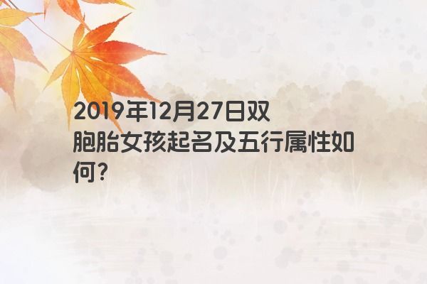 2019年12月27日双胞胎女孩起名及五行属性如何? 2019年12月27日双胞胎女孩起名及五行属性如何?