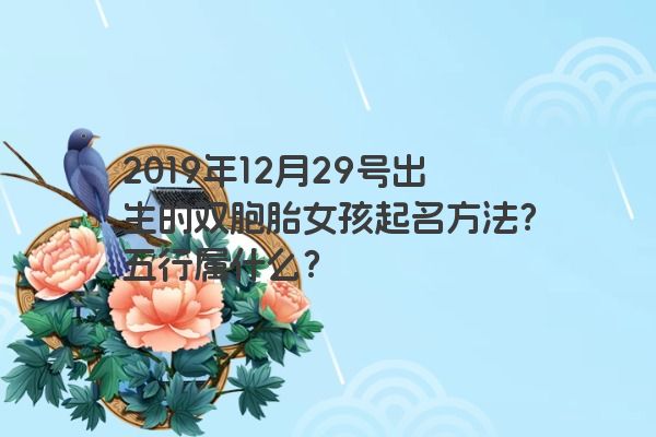 2019年12月29号出生的双胞胎女孩起名方法?五行属什么? 2019年12月29号出生的双胞胎女孩起名方法?五行属什么?