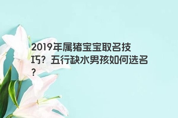 2019年属猪宝宝取名技巧？五行缺水男孩如何选名？