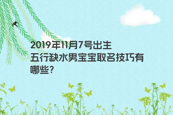 2019年11月7号出生五行缺水男宝宝取名技巧有哪些？