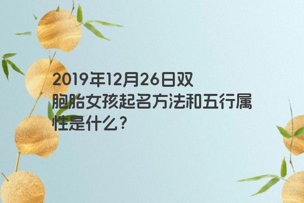 2019年12月26日双胞胎女孩起名方法和五行属性是什么? 2019年12月26日双胞胎女孩起名方法和五行属性是什么?