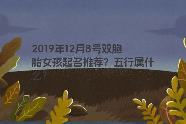 2019年12月8号双胞胎女孩起名推荐?五行属什么? 2019年12月8号双胞胎女孩起名推荐?五行属什么?