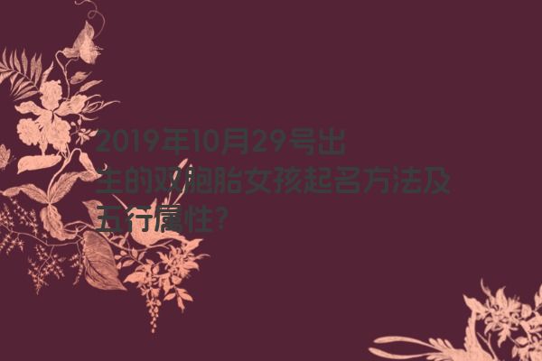 2019年10月29号出生的双胞胎女孩起名方法及五行属性？