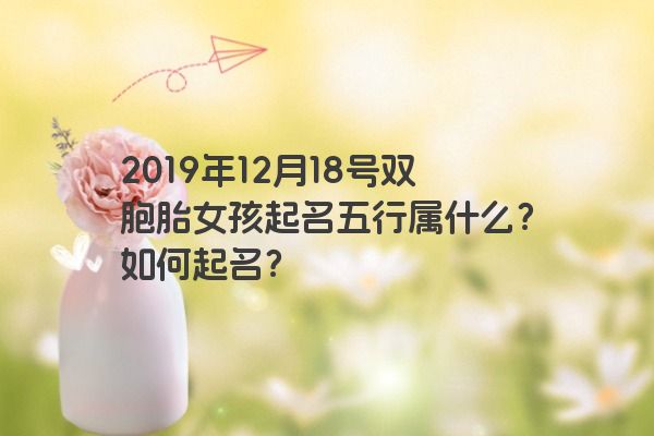 2019年12月18号双胞胎女孩起名五行属什么?如何起名? 2019年12月18号双胞胎女孩起名五行属什么?如何起名?