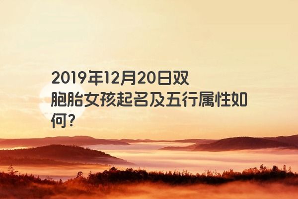 2019年12月20日双胞胎女孩起名及五行属性如何? 2019年12月20日双胞胎女孩起名及五行属性如何?