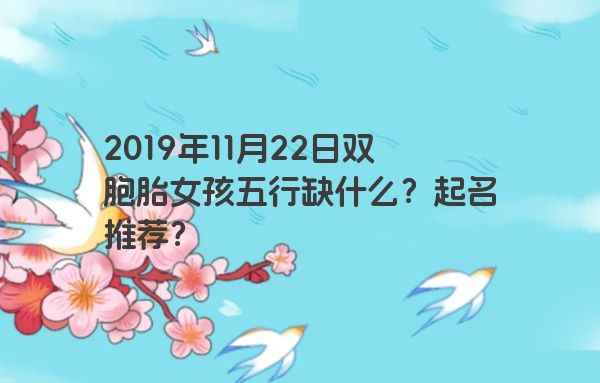 2019年11月22日双胞胎女孩五行缺什么？起名推荐？