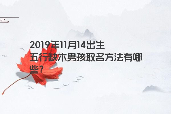 2019年11月14出生五行缺木男孩取名方法有哪些？