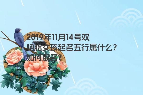 2019年11月14号双胞胎女孩起名五行属什么？如何取名？