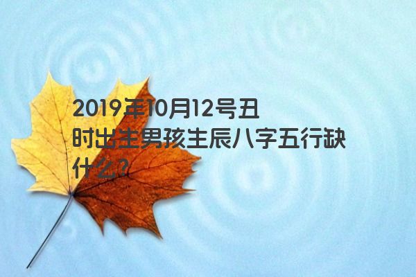 2019年10月12号丑时出生男孩生辰八字五行缺什么？
