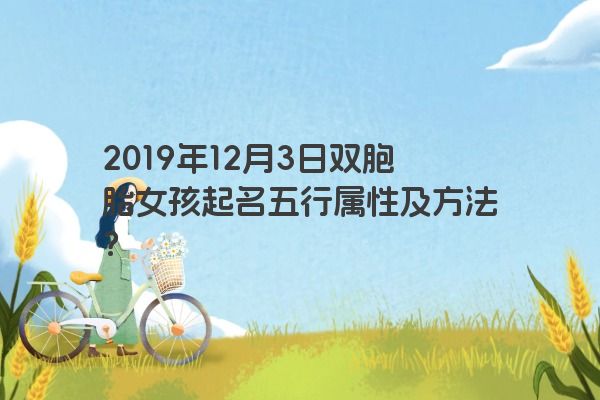 2019年12月3日双胞胎女孩起名五行属性及方法？