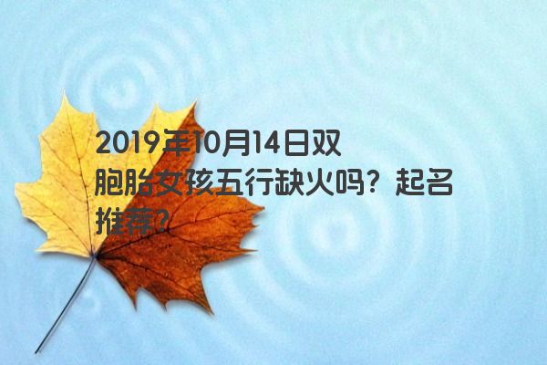 2019年10月14日双胞胎女孩五行缺火吗？起名推荐？