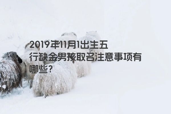 2019年11月1出生五行缺金男孩取名注意事项有哪些？