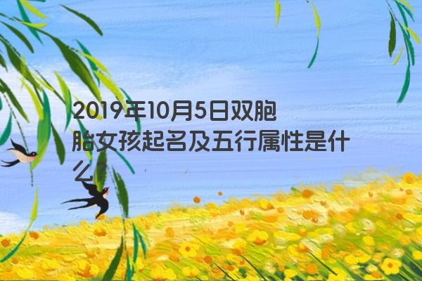 2019年10月5日双胞胎女孩起名及五行属性是什么？
