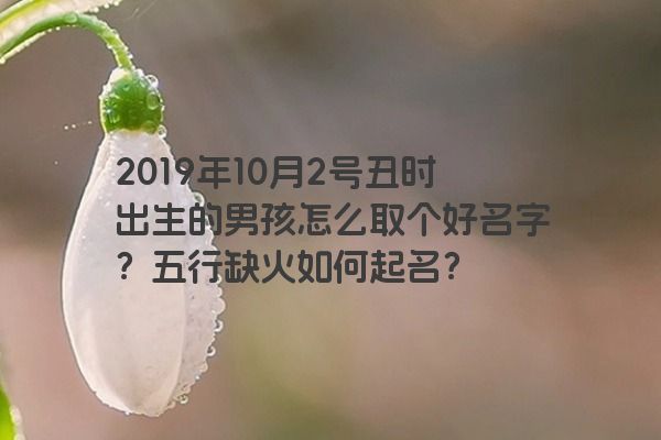 2019年10月2号丑时出生的男孩怎么取个好名字？五行缺火如何起名？