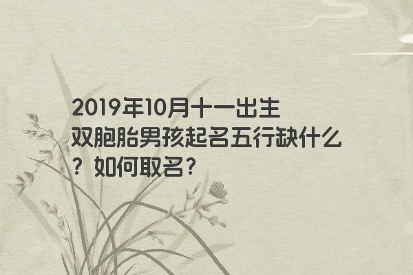 2019年10月十一出生双胞胎男孩起名五行缺什么？如何取名？