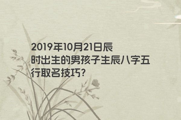 2019年10月21日辰时出生的男孩子生辰八字五行取名技巧？