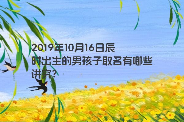 2019年10月16日辰时出生的男孩子取名有哪些讲究？