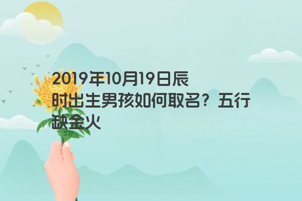 2019年10月19日辰时出生男孩如何取名？五行缺金火