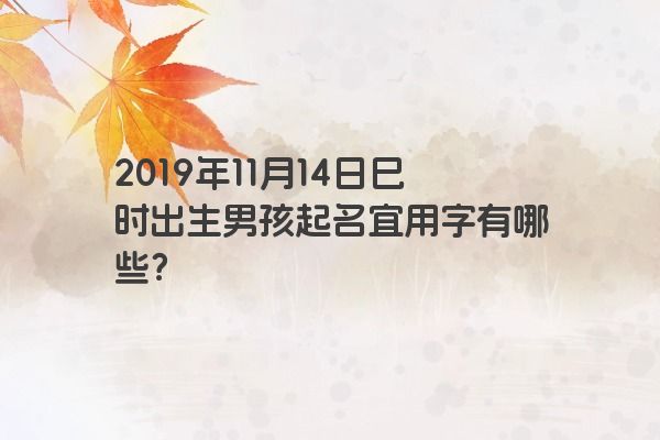2019年11月14日巳时出生男孩起名宜用字有哪些？