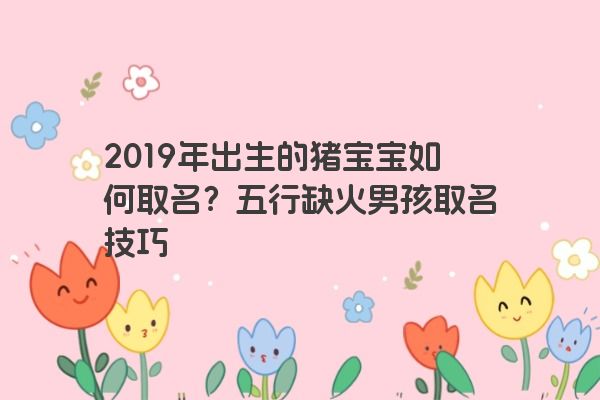 2019年出生的猪宝宝如何取名？五行缺火男孩取名技巧